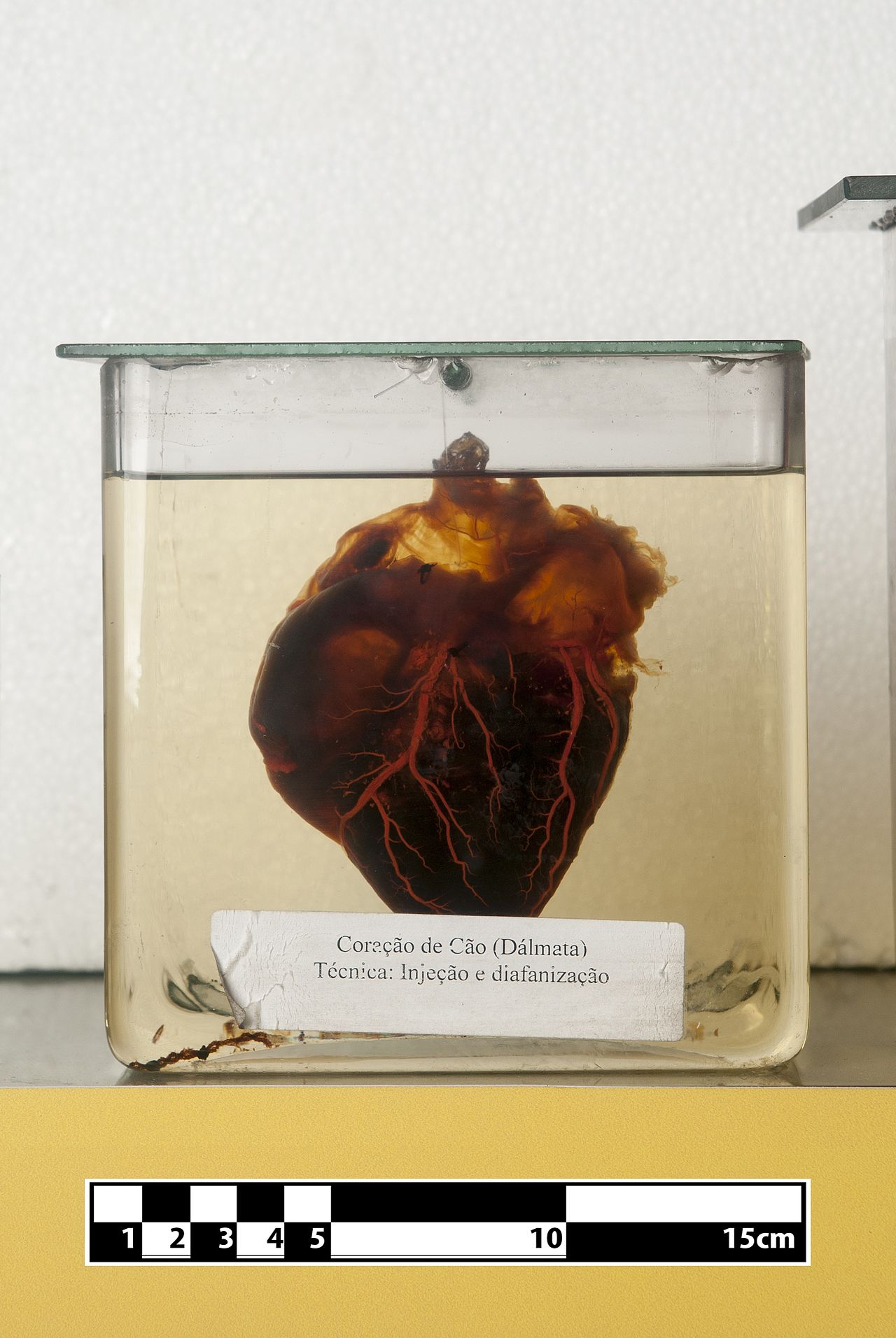 Dalmatien en voyage - photo 3